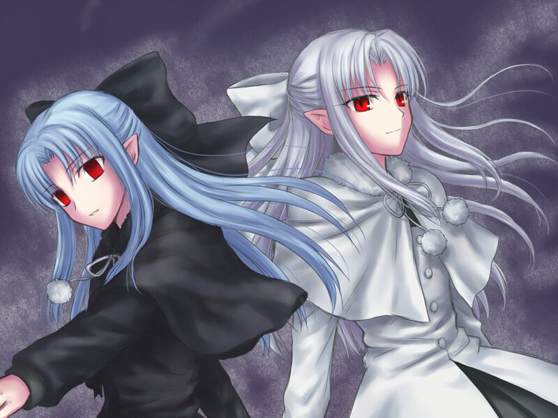 Two Anime Characters — White, Dramatic, Long Hair