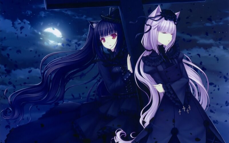 Two Anime Girls at Night — Blue, Dramatic, Moon, Cat Ears
