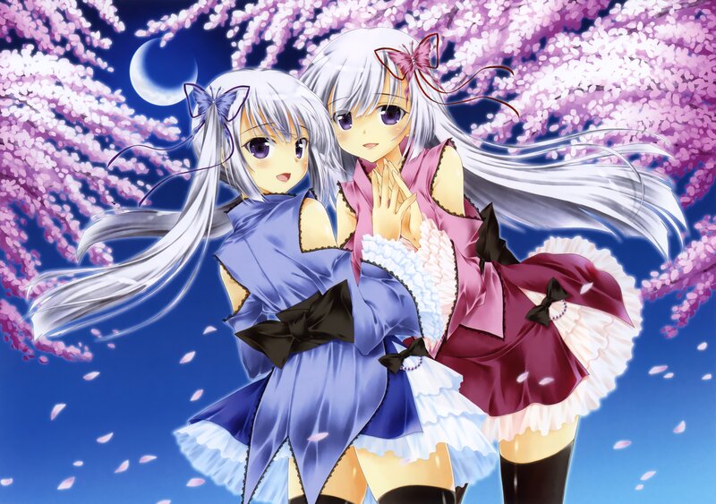 Two Anime Girls — Blue, Serene, Night, Cherry Blossoms