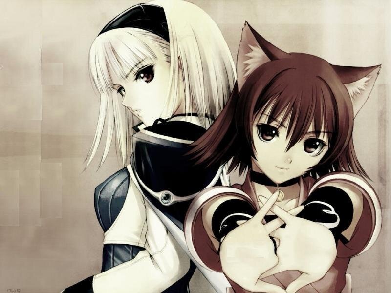 Two Anime Girls — Brown, Calm, Cat Ears