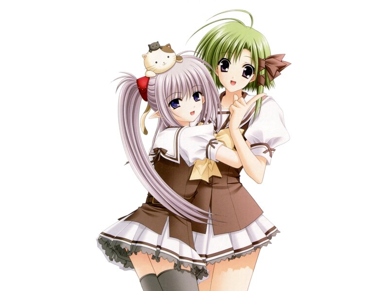 Two Anime Girls Hugging — White, Cheerful
