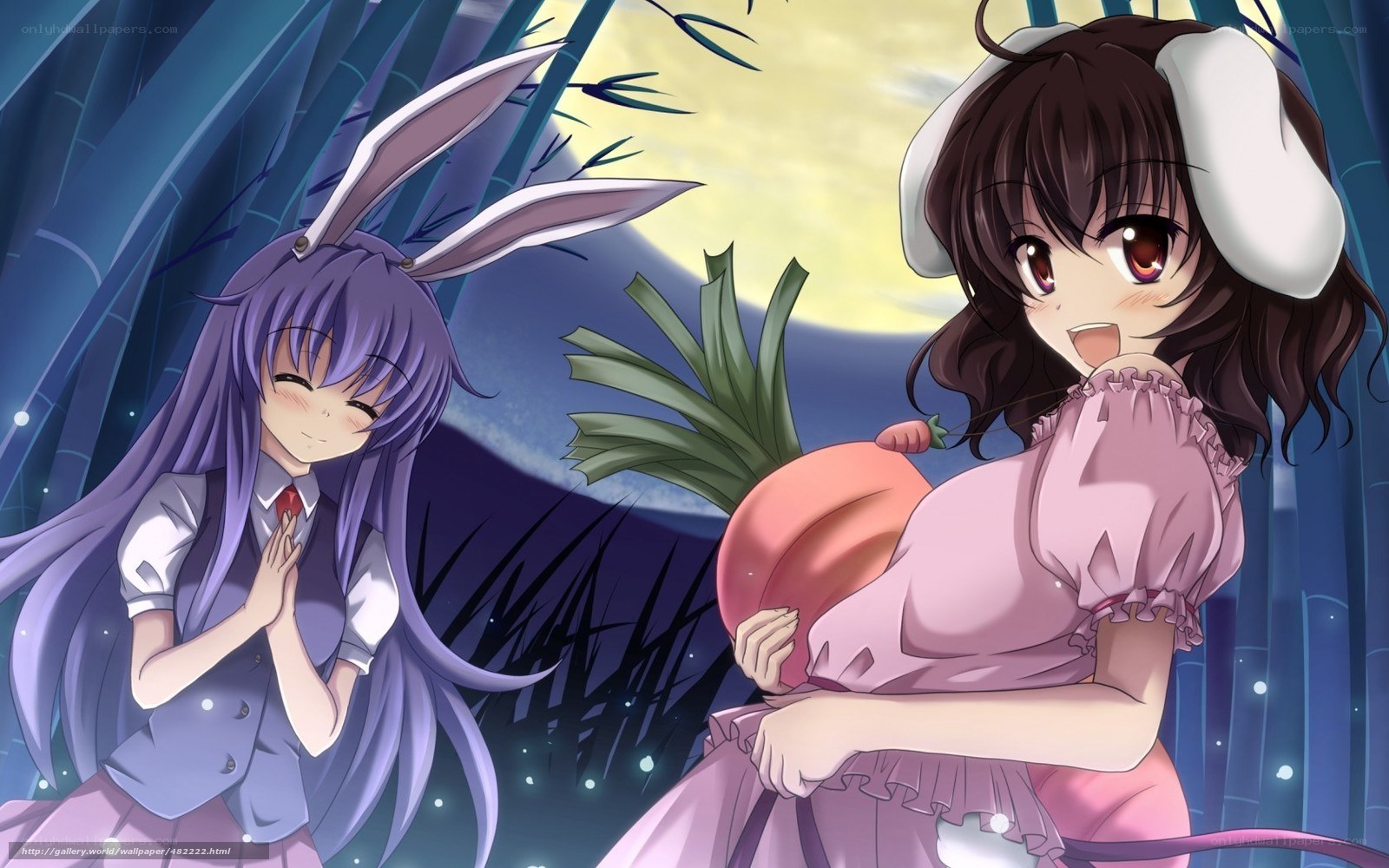 Two anime girls in a bamboo forest
