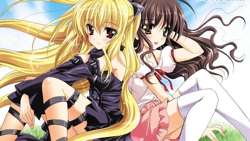 two anime girls in a field