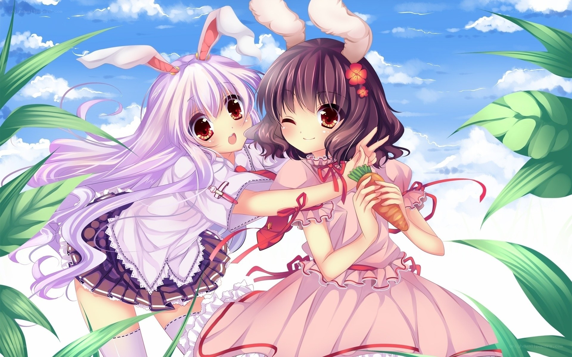 Two anime girls in a field