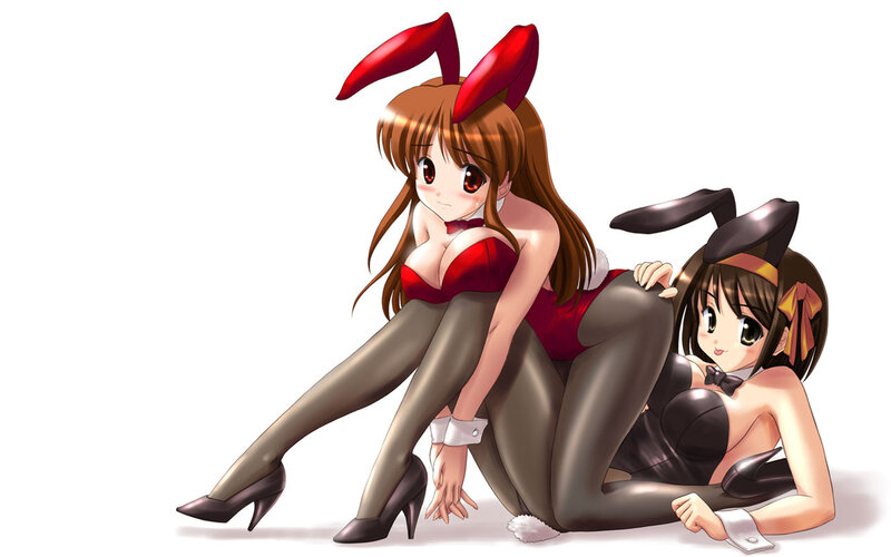 Two Anime Girls in Bunny Costumes — Brown, Playful