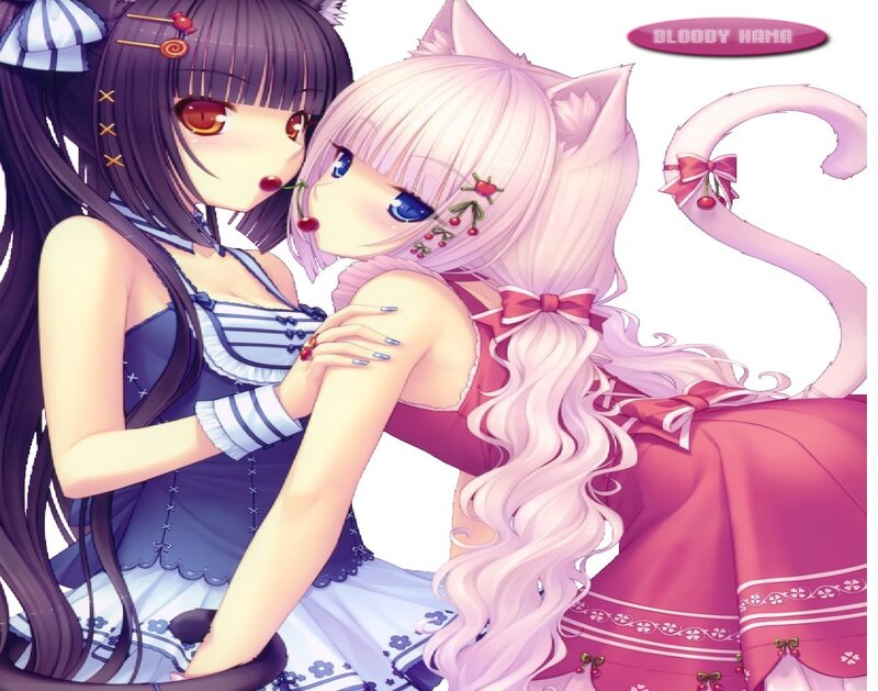 Two anime girls in cat costumes