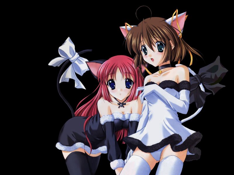 Two Anime Girls in Cat Costumes — Black