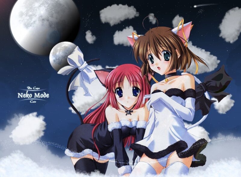 Two Anime Girls in Cat Costumes — Blue, Dreamy