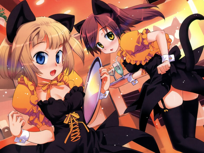 Two Anime Girls in Cat Costumes — Orange