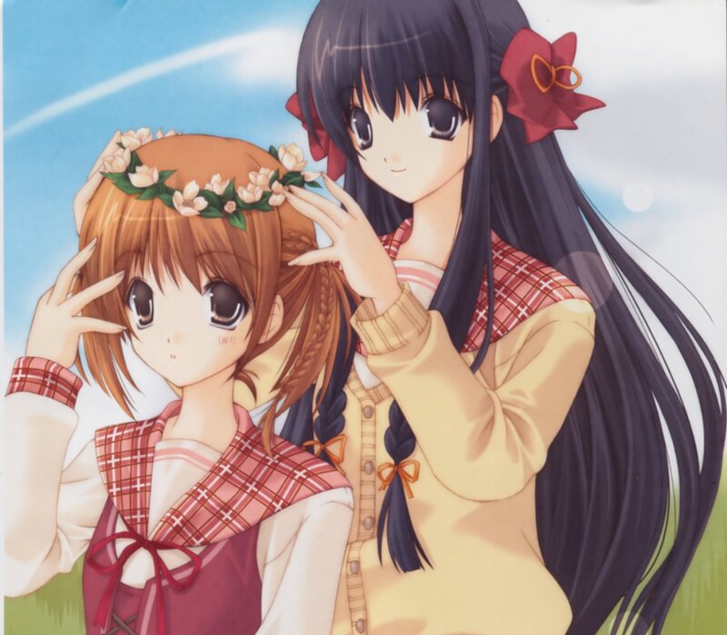 Two Anime Girls in Field — Blue, Peaceful