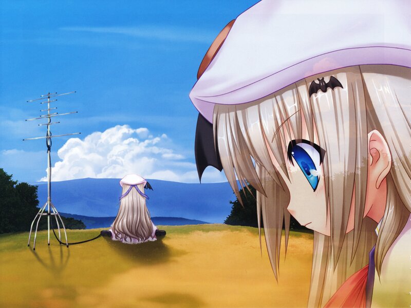 Two Anime Girls in Field — Blue, Serene