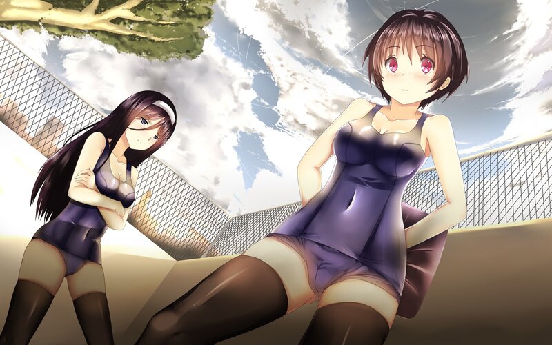 Two Anime Girls in Leotards