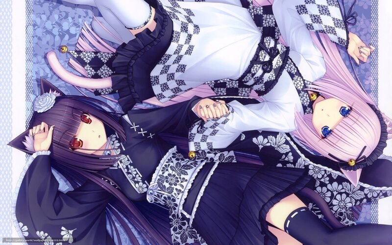 Two anime girls in maid outfits