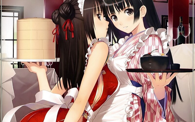 Two Anime Girls in Maid Outfits — Red, Calm