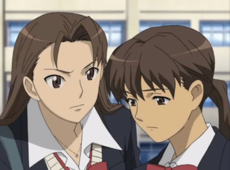 Two Anime Girls in School Uniforms — Brown, Serious