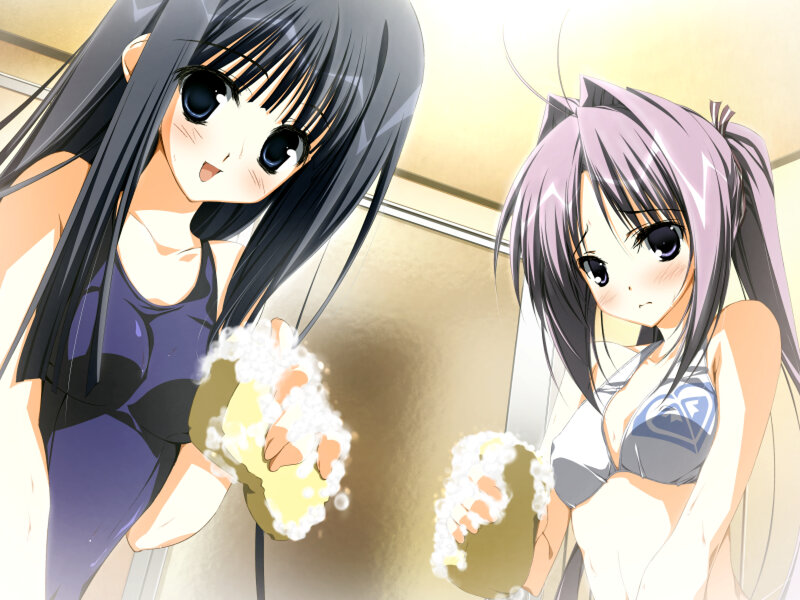 Two Anime Girls in Swimsuits — Purple