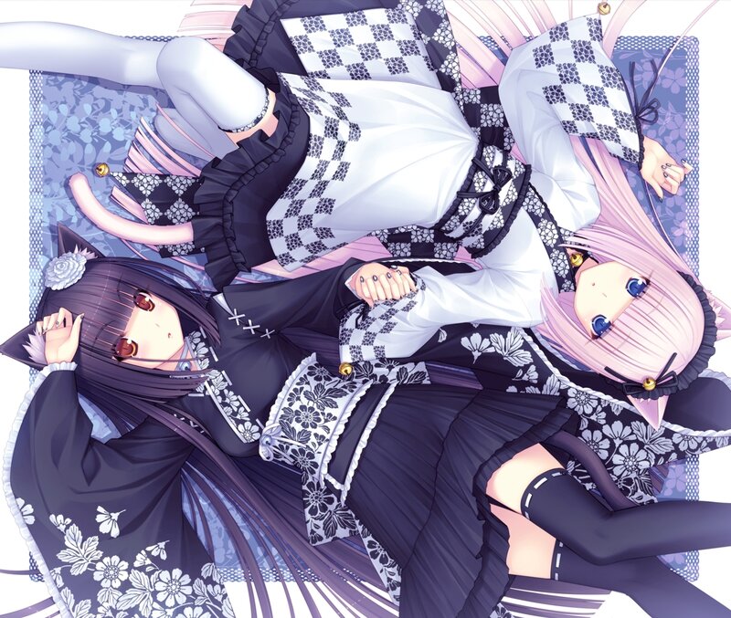 Two Anime Girls Lying — Black, Calm, Cat Ears