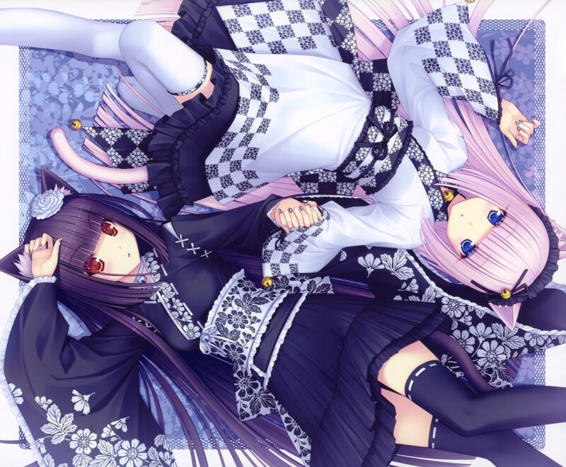 Two Anime Girls Lying Down — Purple, Calm, Cat Ears