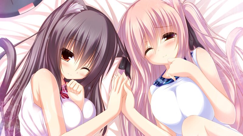 Two Anime Girls Lying — Pink, Calm, Cat Ears, Pigtails