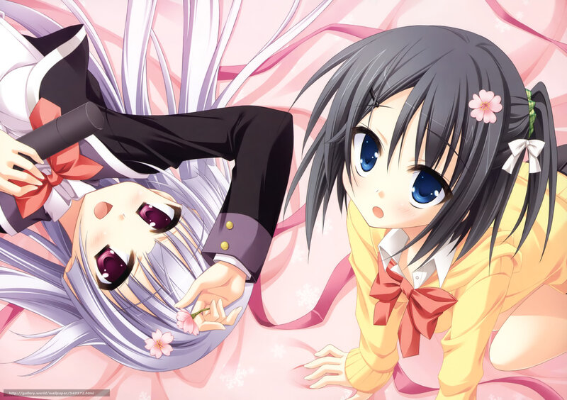 Two Anime Girls on Pink — Playful