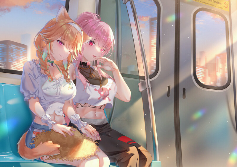 Two Anime Girls on Train — Pink, Calm