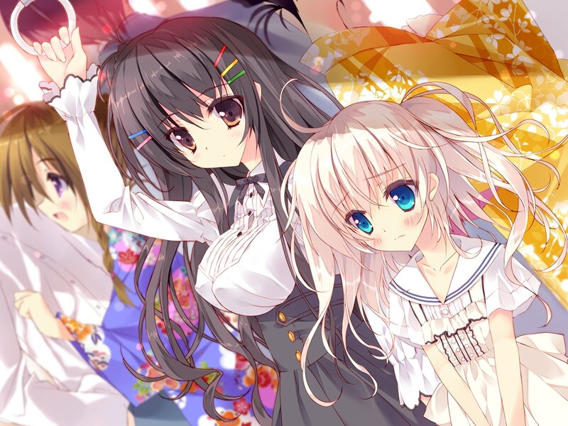 Two Anime Girls on Train — White, Calm