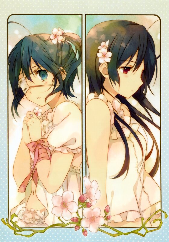 Two Anime Girls — Pink, Serene, Spring, Flowers, Hair Clips
