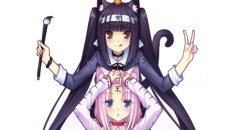 Two Anime Girls — Purple, Playful, Cat Ears, Tail
