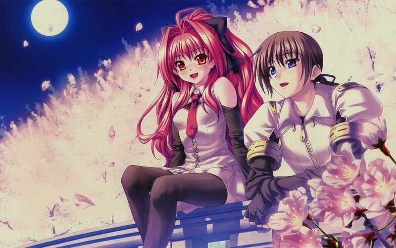 Two Anime Girls Sitting — Pink, Serene, Night, Cherry Blossoms