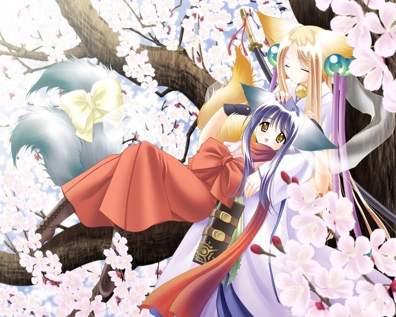 Two Anime Girls under Cherry Blossoms — Pink, Serene, Spring, Cherry Blossoms, Swords