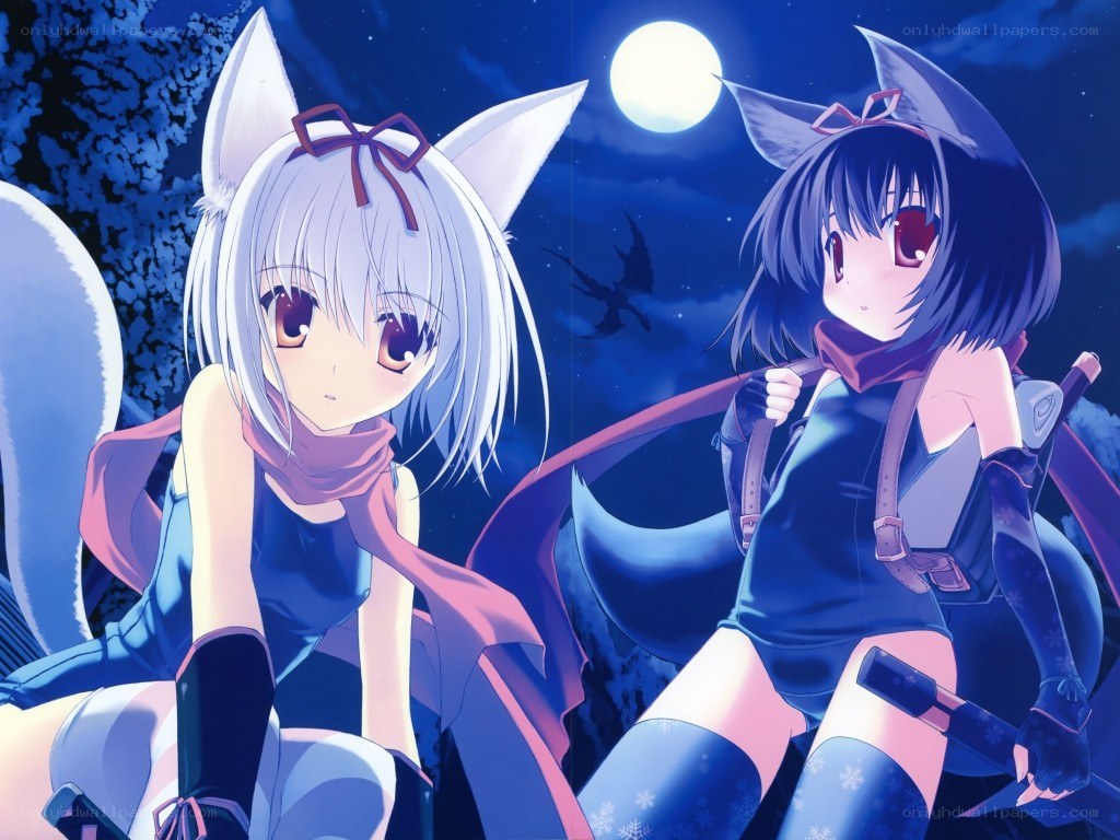 Two anime girls under the moon