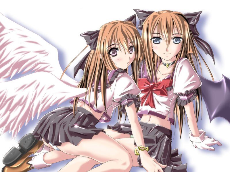 Two Anime Girls — White, Calm, Wings