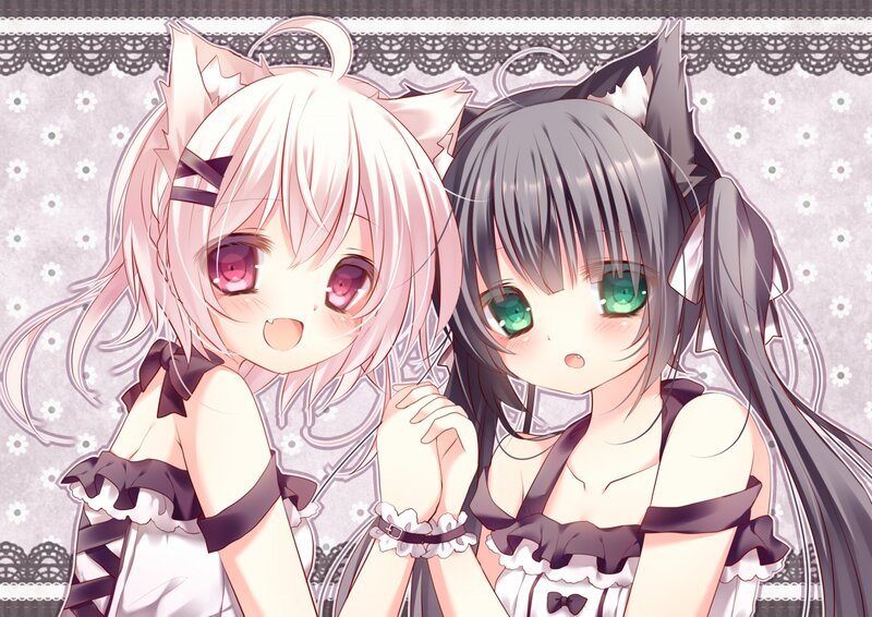 Two Anime Girls — White, Cute