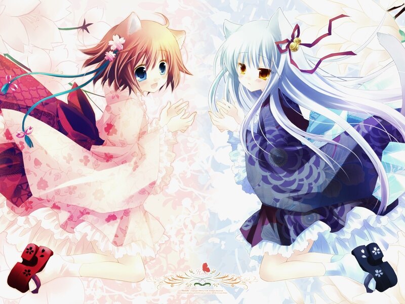 Two Anime Girls — White, Serene, Cat Ears