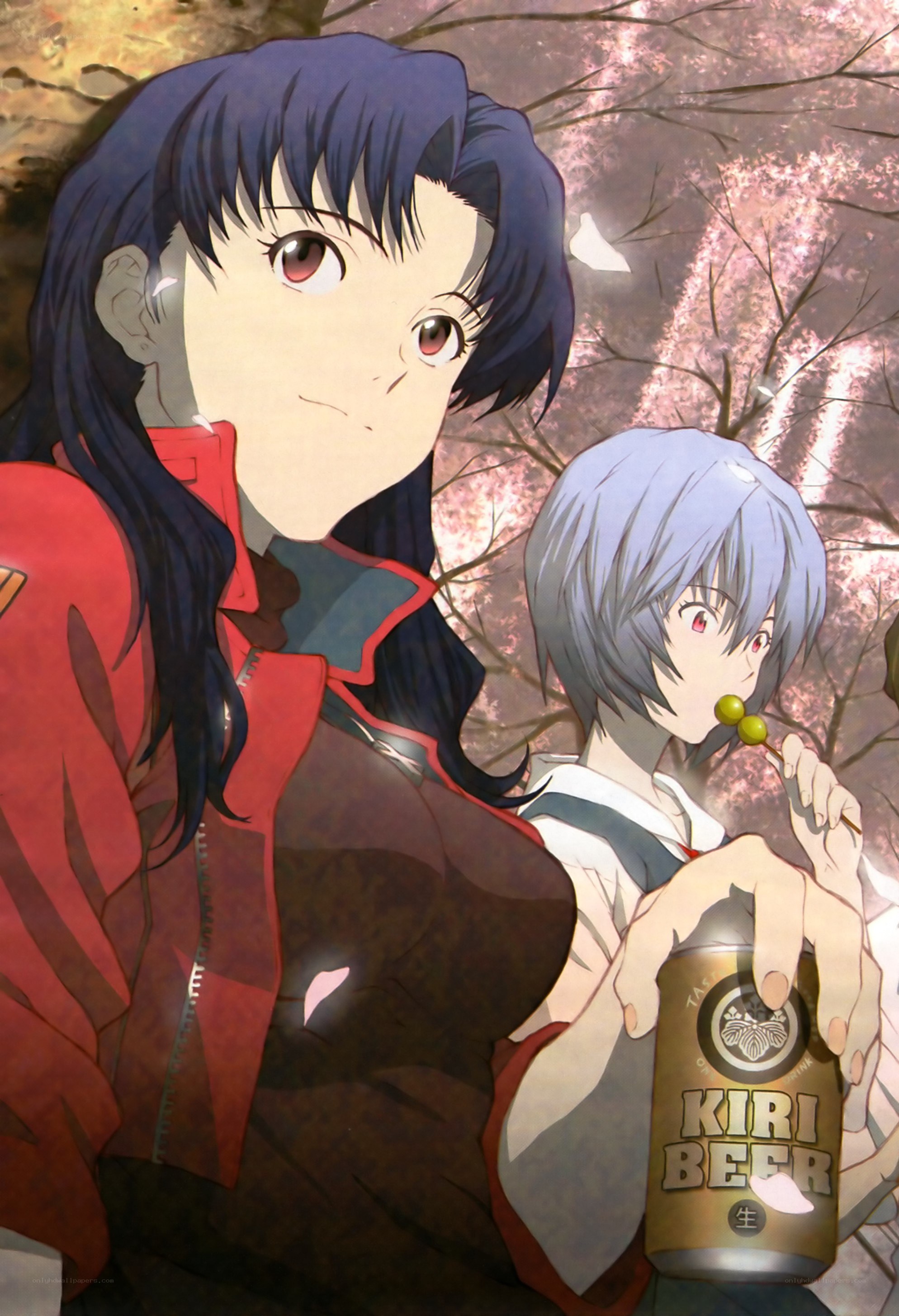 Two anime girls with beer
