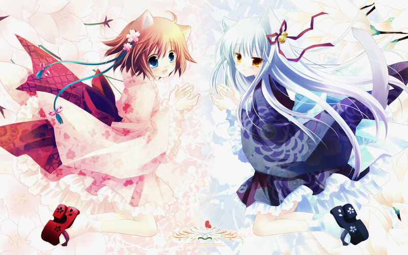 Two anime girls with cat ears