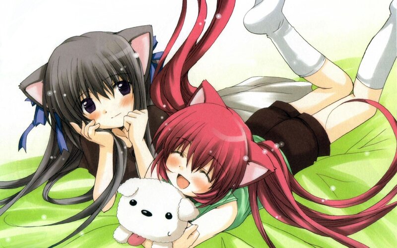 Two anime girls with cat ears
