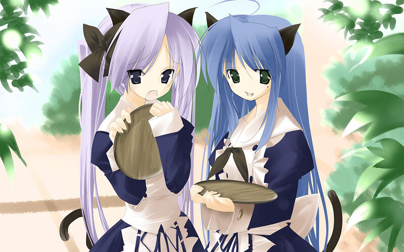Two anime girls with cat ears