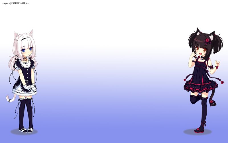two anime girls with cat ears