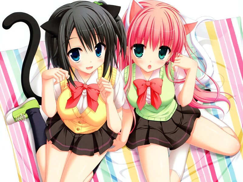 Two anime girls with cat ears