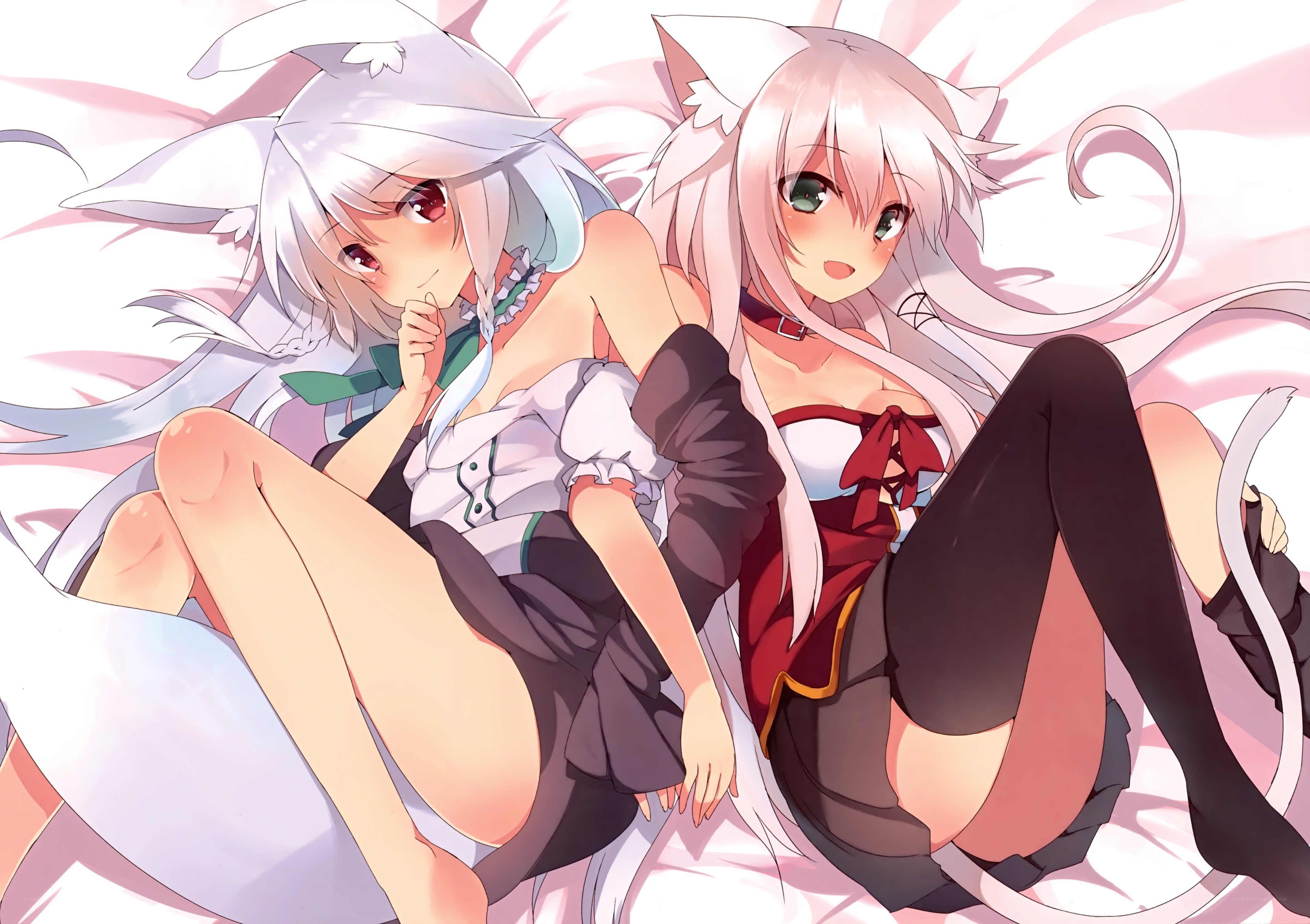 Two anime girls with cat ears