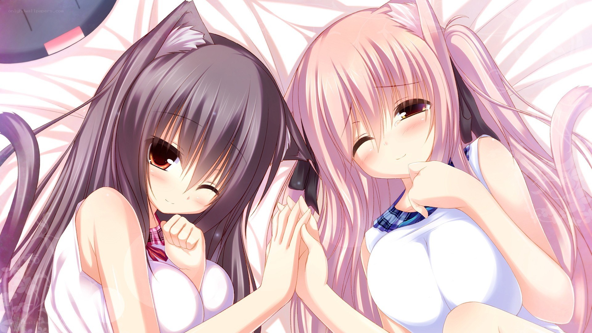 Two anime girls with cat ears