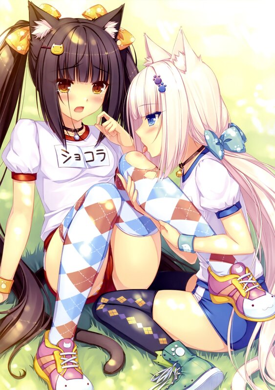 Two anime girls with cat ears