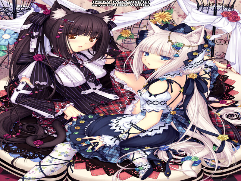 Two Anime Girls with Cat Ears — Black, Playful