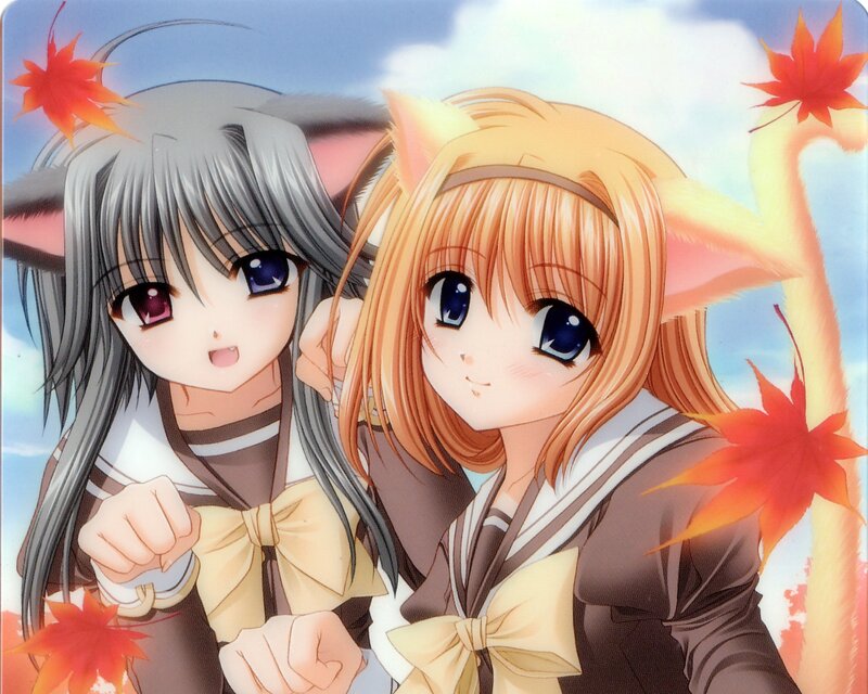 Two Anime Girls with Cat Ears — Blue