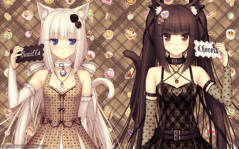 Two Anime Girls with Cat Ears — Brown, Playful, Cat Ears, Chokers