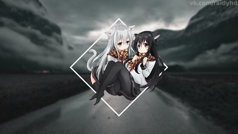 Two Anime Girls with Cat Ears — Gray