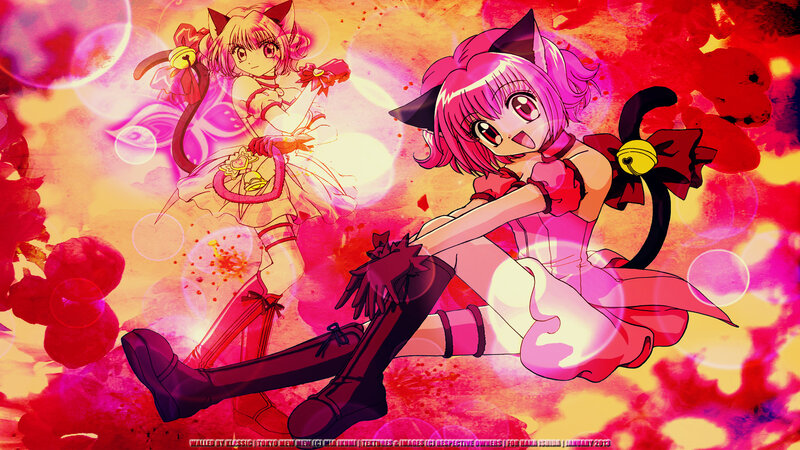 Two Anime Girls with Cat Ears — Pink, Energetic