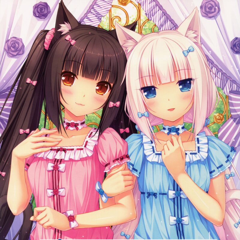Two Anime Girls with Cat Ears — Pink, Sweet, Cat Ears