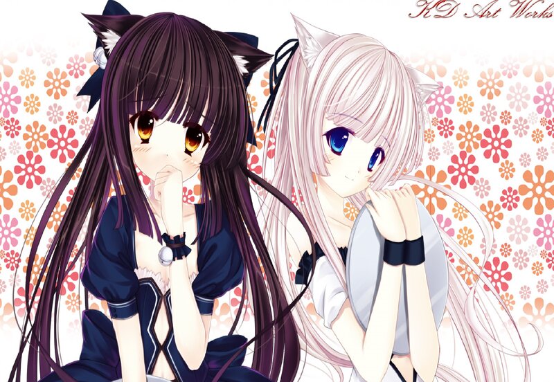 Two Anime Girls with Cat Ears — Purple, Calm